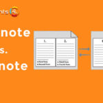 Differences Between Endnotes & Footnotes